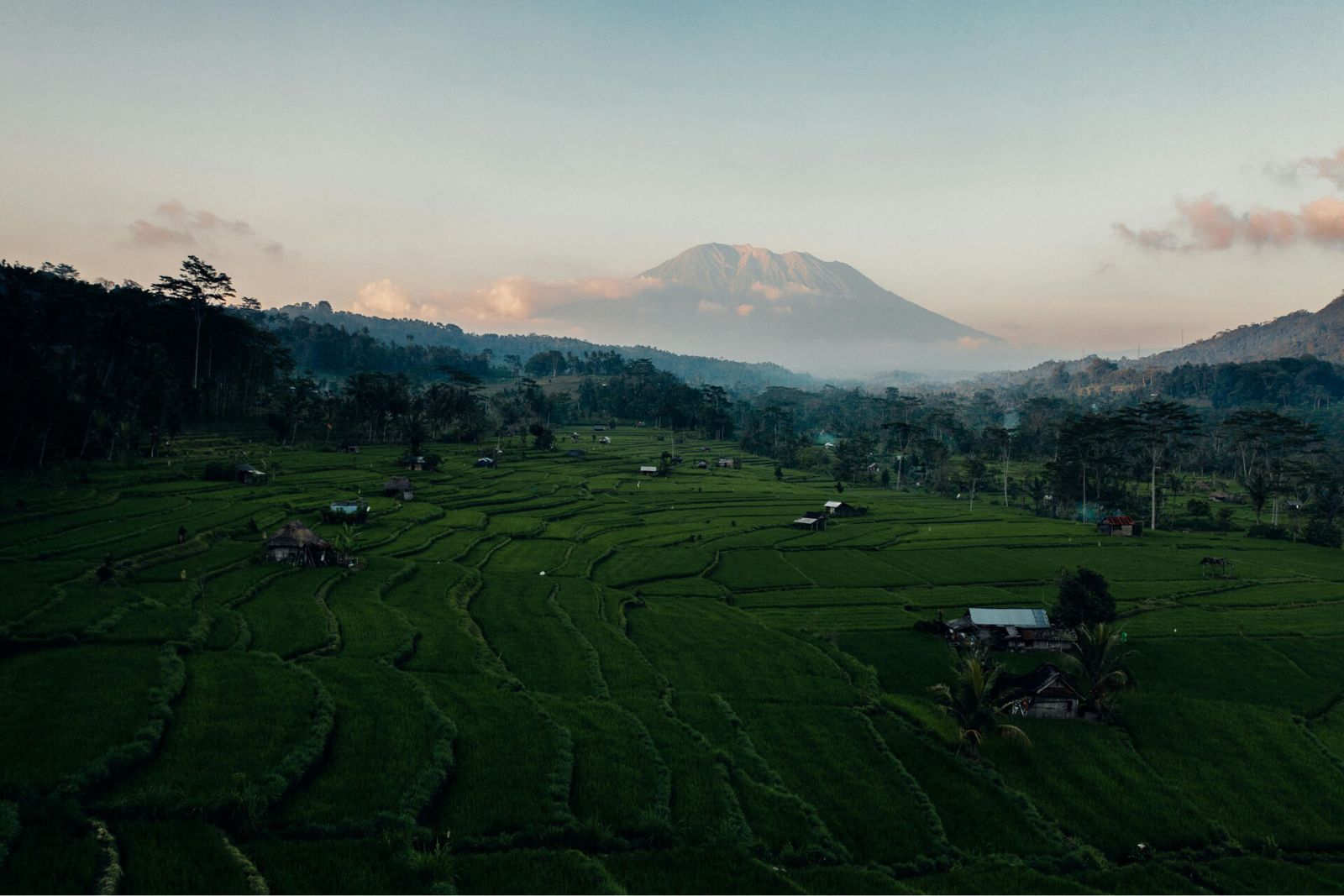Indonesian countryside with fields and a mountain in the background.